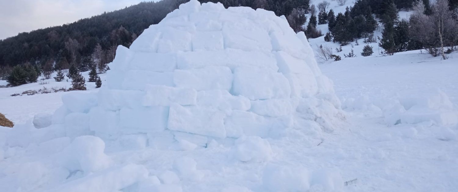 ohmamiglu 5