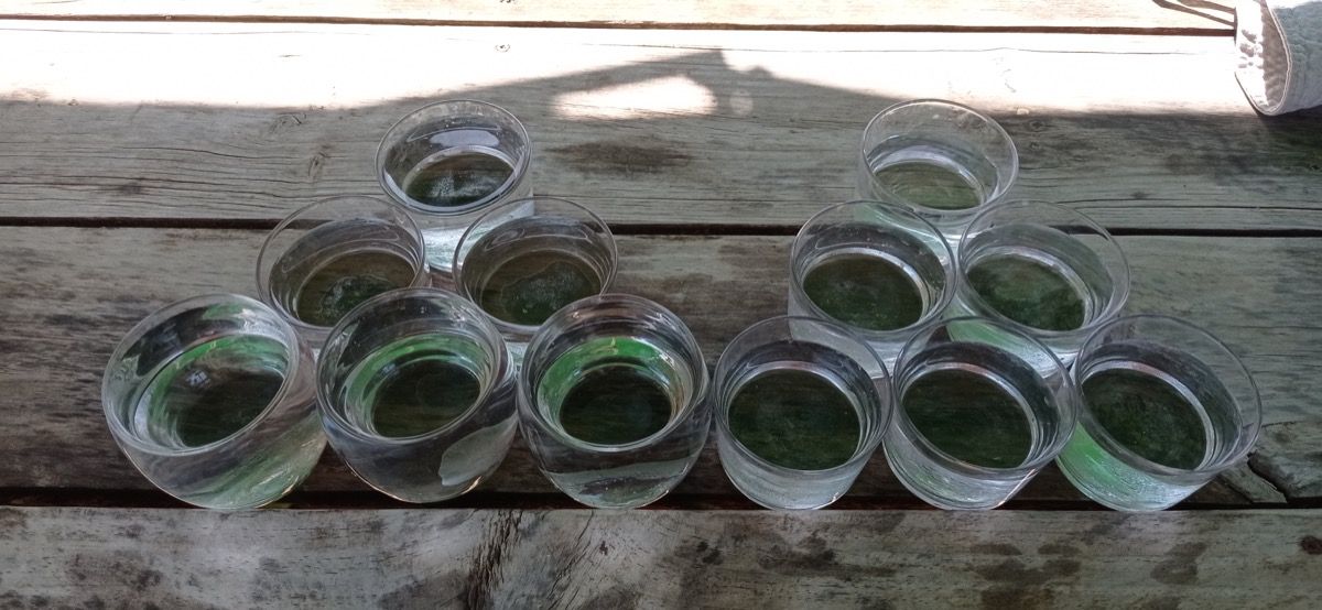 IMG_20220612_103834 Curso de construccion Domo Geodesico en Lladurs