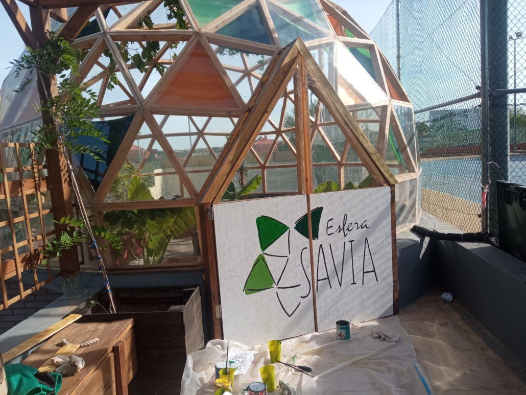 1653493072238 Domo Invernadero