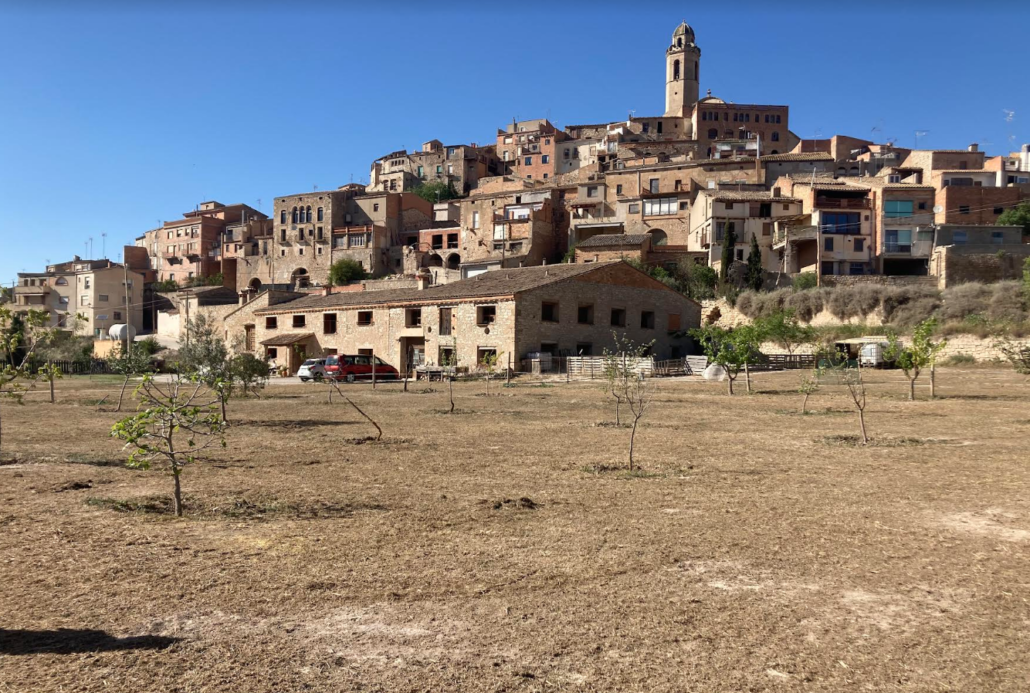 Curso de Construccion Domo Geodesico en Malda - MIDOMO