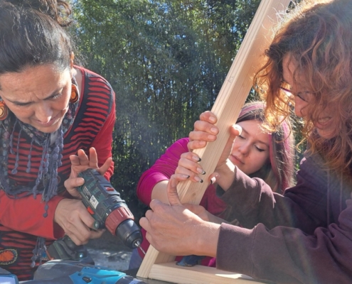 curso domo zarzalejo 2026_16